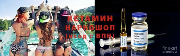 амф Ельня