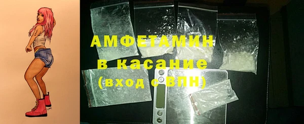 амф Ельня