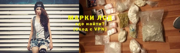 амф Ельня