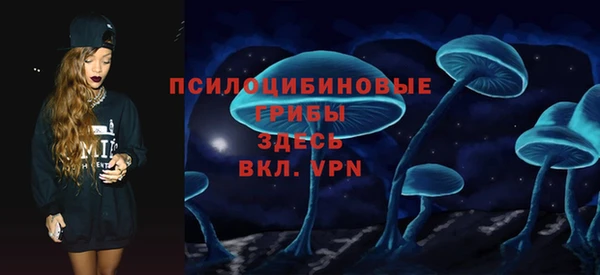 амф Ельня