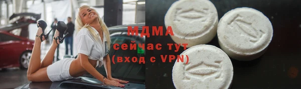 амф Ельня