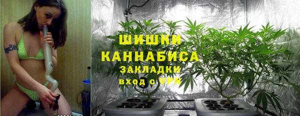 амф Ельня