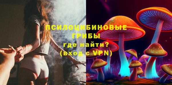 МДМА Елизово