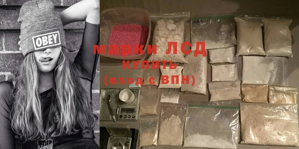 ПСИЛОЦИБИНОВЫЕ ГРИБЫ Елабуга