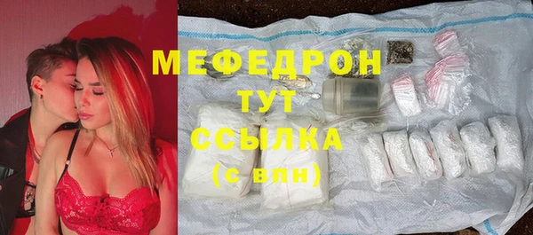 амф Ельня
