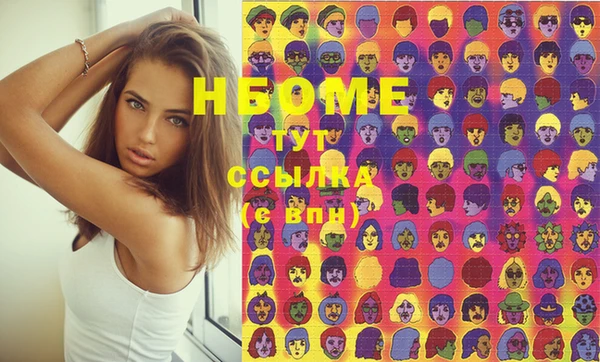 амф Ельня