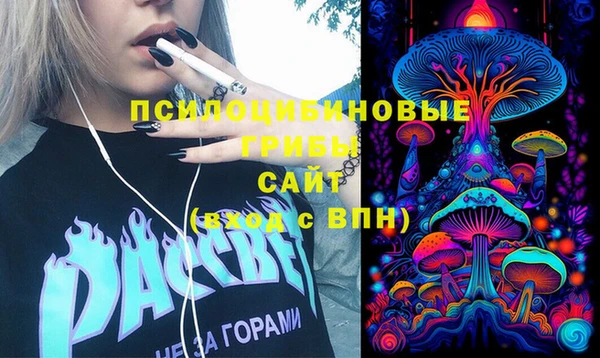 амф Ельня