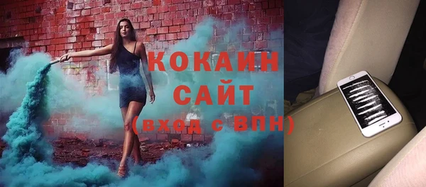 амф Ельня