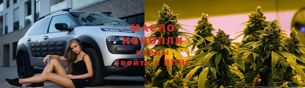 амф Ельня