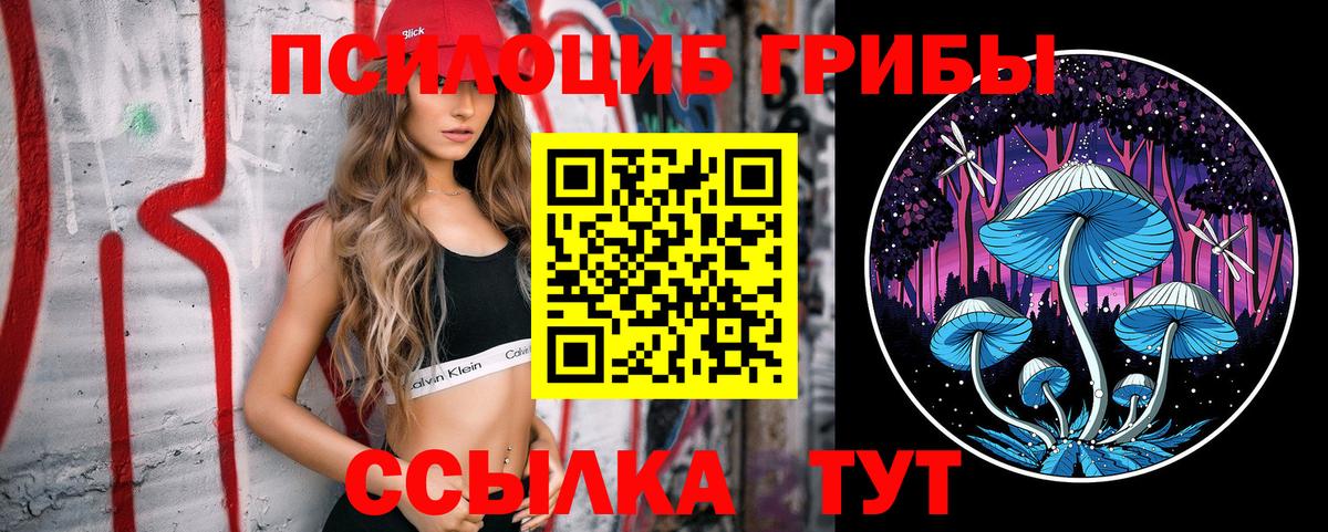 Елабуга  Псилоцибиновые грибы Psilocybe  даркнет сайт  Вход с VPN 