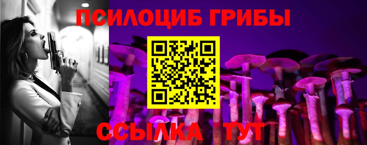 Галлюциногенные грибы мицелий  Елабуга 