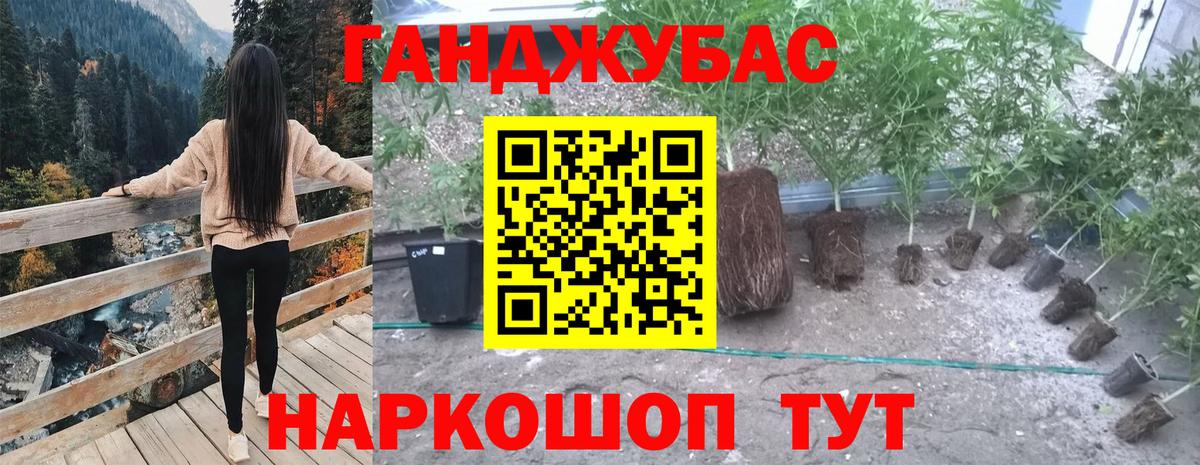 Бошки марихуана марихуана Елабуга